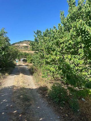 Terreno en venta en Almuñecar en Almuñécar