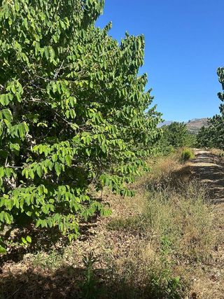 Terreno en venta en Almuñecar en Almuñécar
