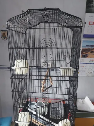 Jaula desmontable para pájaros con accesorios