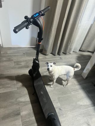 Patinete eléctrico Ninebot E2 Pro