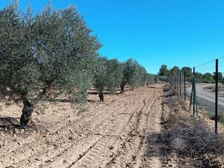 Casa rural en venta en Yecla