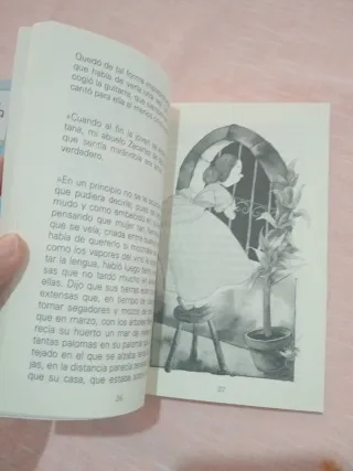 El niño que llegó con la niebla (Spanish Edition)