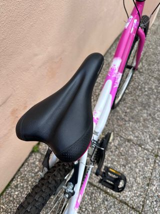 Bicicleta de montaña