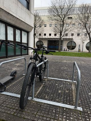 Specialized Rockhopper 29 Talla L