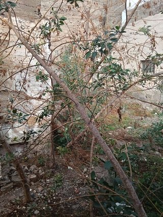 Terreno en venta en Agüimes en Agüimes