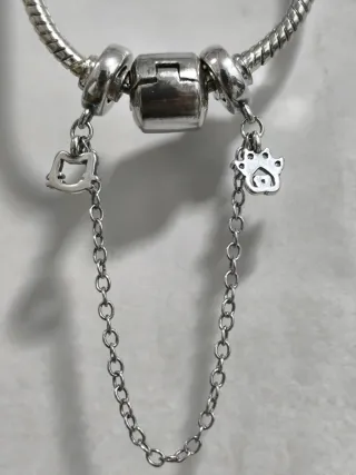 Charm seguridad de gato y huella