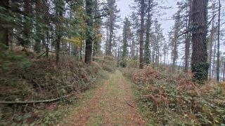 Chalet en venta en Berriz