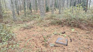 Chalet en venta en Berriz