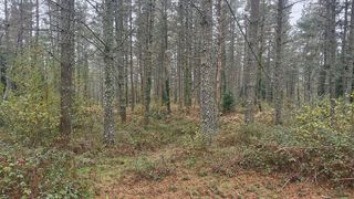 Chalet en venta en Berriz