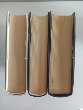 Pack Ken Follet. En el blanco, el tercer gemelo