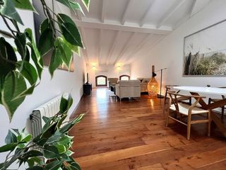 Piso en alquiler en La Seu - Cort - Monti-sión en Palma de Mallorca