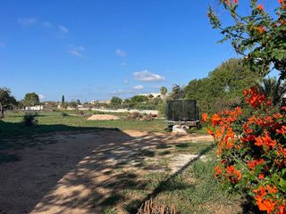 Terreno en venta en Binissalem