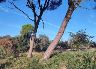 Terreno en venta en Residencial Park en Maçanet de la Selva