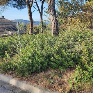 Terreno en venta en Residencial Park en Maçanet de la Selva