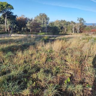 Terreno en venta en Residencial Park en Maçanet de la Selva