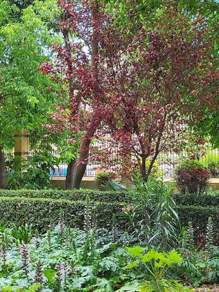 Piso en alquiler en Aiora en Valencia