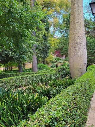Piso en alquiler en Aiora en Valencia
