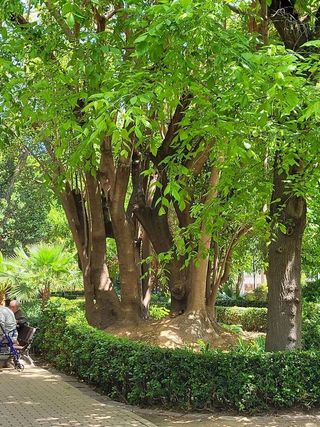 Piso en alquiler en Aiora en Valencia