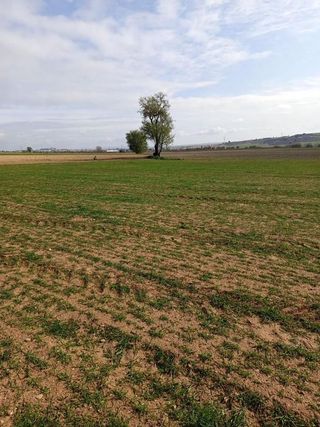 Terreno en venta en Tarancón