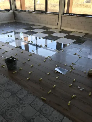 Alicatados y solados