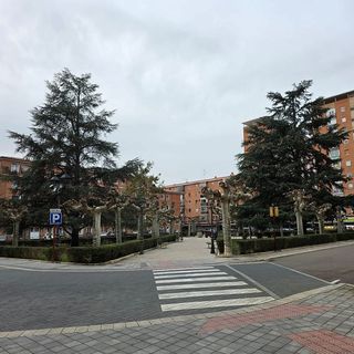 Local comercial en alquiler en San Pablo y Santa Marina en Palencia