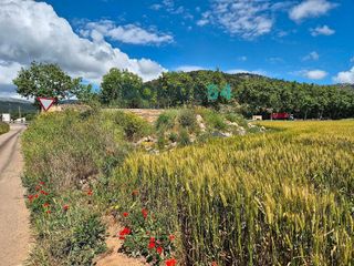 Terreno en venta en Pobla (Sa)