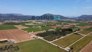 Terreno en venta en Pobla (Sa)