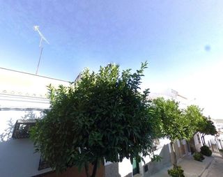 Casa adosada en venta en Cabezas de San Juan (Las)