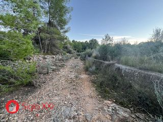 Terreno en venta en Vall d´Uixó (la)