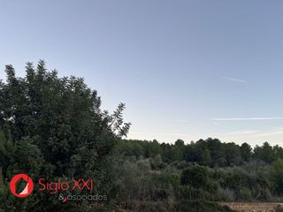Terreno en venta en Vall d´Uixó (la)