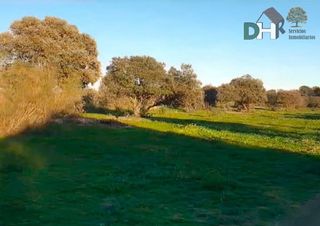 Terreno en venta en Pedanías de Cáceres en Cáceres