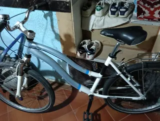 Bicicleta Gris y Blanca