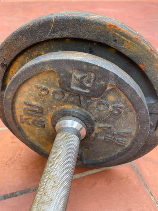 Peses amb la barra 10kg de 2kg i de 5kg 40€