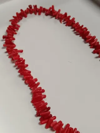 Filo naturale di rami di corallo