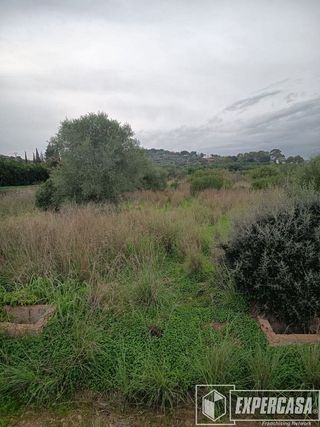 Terreno en venta en Picassent