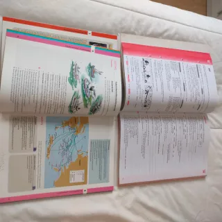 Essential Grammar in Use Spanish Edition with A...