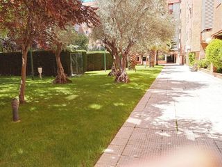 Piso en alquiler en Parque Tecnológico en Tres Cantos