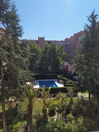 Piso en alquiler en Parque Tecnológico en Tres Cantos