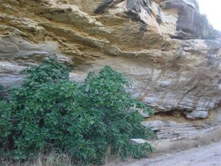 Solar en venta en Torre del Compte