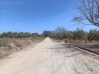 Terreno en venta en Albolote