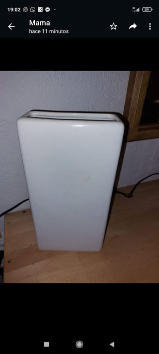 Jarrón plano con hoja de helecho