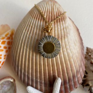 Collar erizo de mar plata