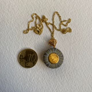 Collar erizo de mar plata