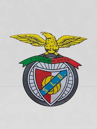 Bóia Insuflável SLB