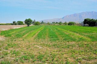 Terreno en venta en Santomera