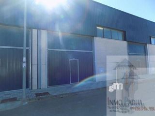 Nave industrial en venta en Campillos