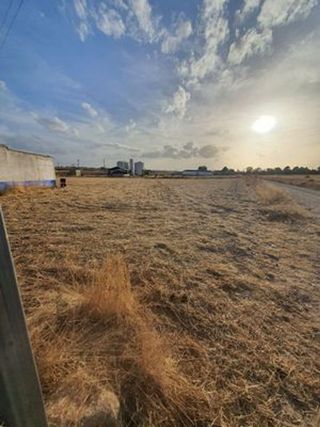 Terreno en venta en Daimiel