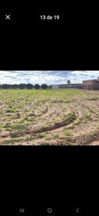 Solar en venta en Sanlúcar la Mayor