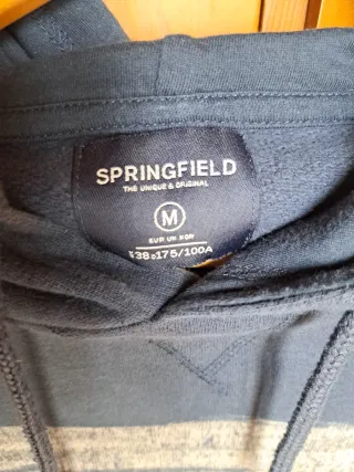 Sudadera Springfield con capucha y rayas