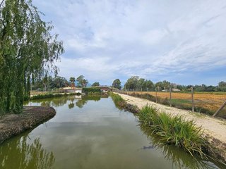 Casa rural en venta en Eucaliptus-Poble Nou del Delta en Amposta